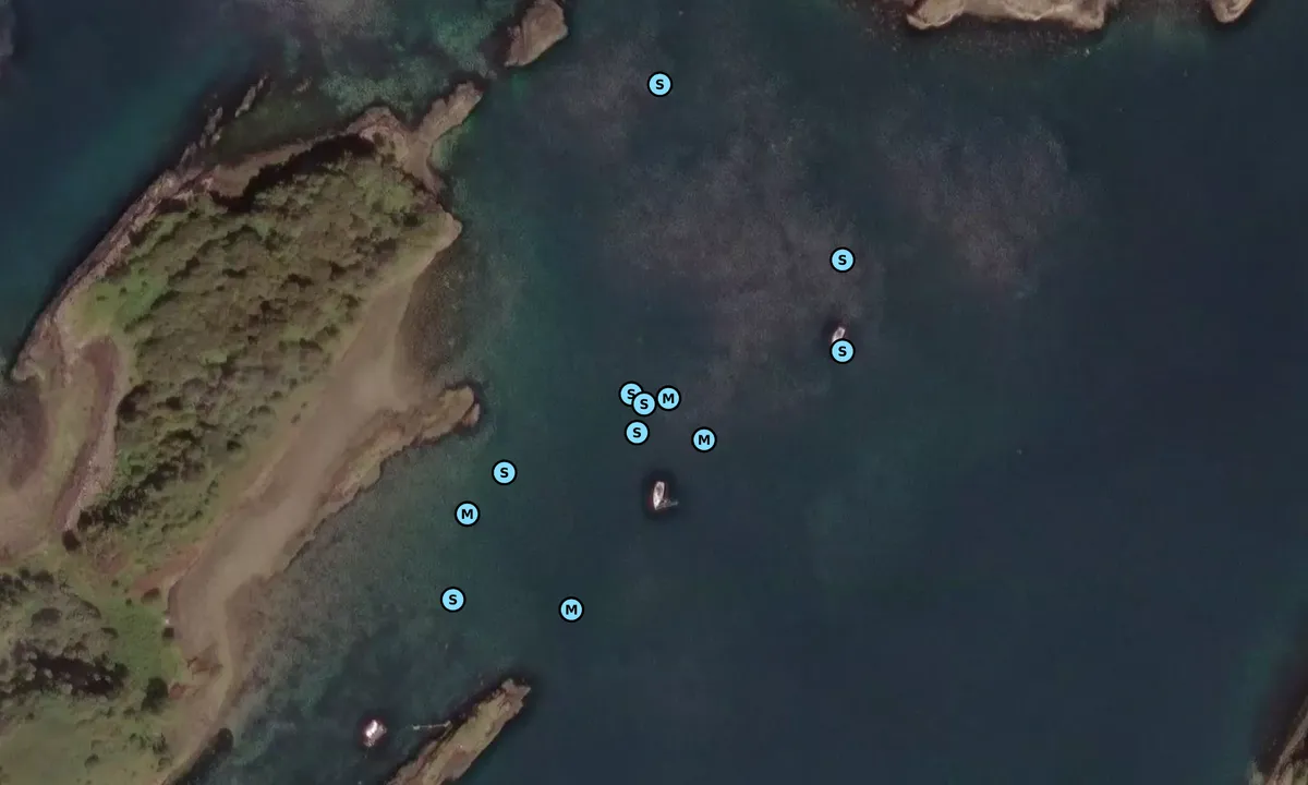 Satelite image of Goat Island 1
