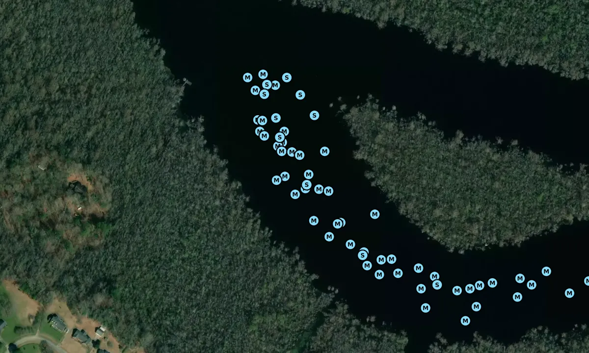 Satelite image of Goat Island - 1