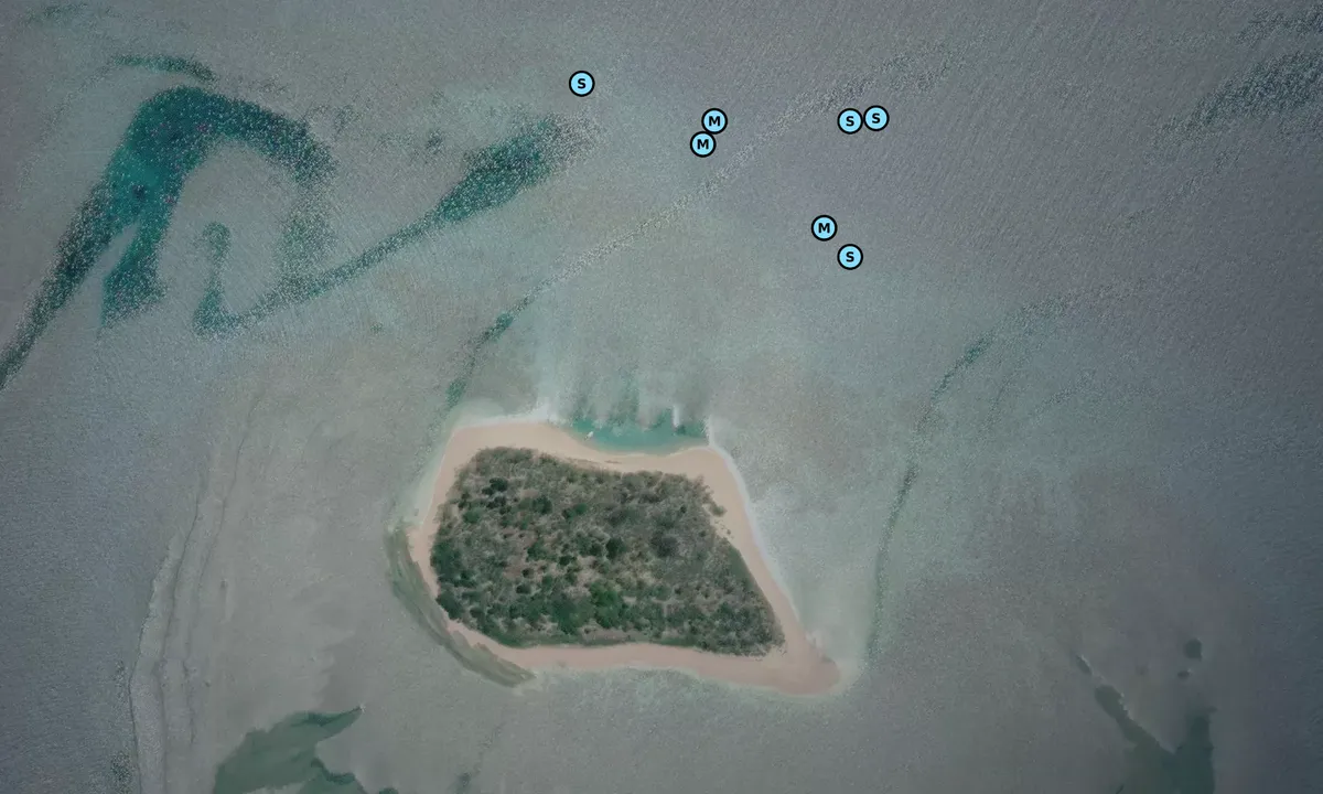 Satelite image of Goldfied