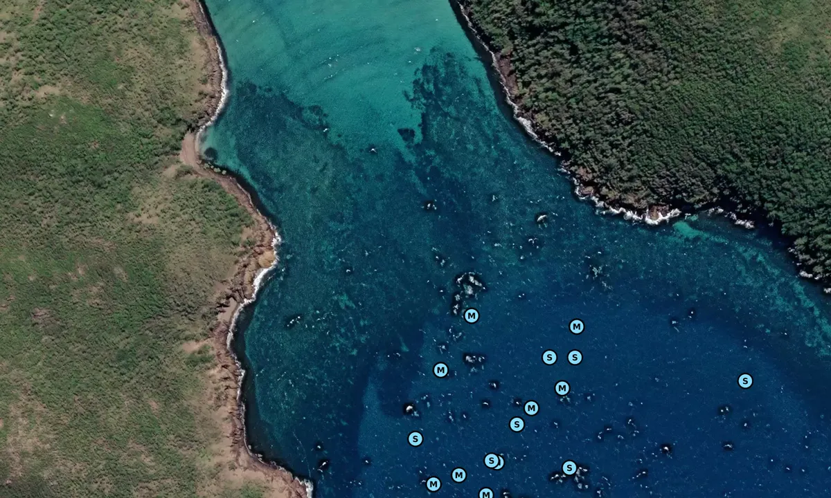 Satelite image of Goldsmith Island