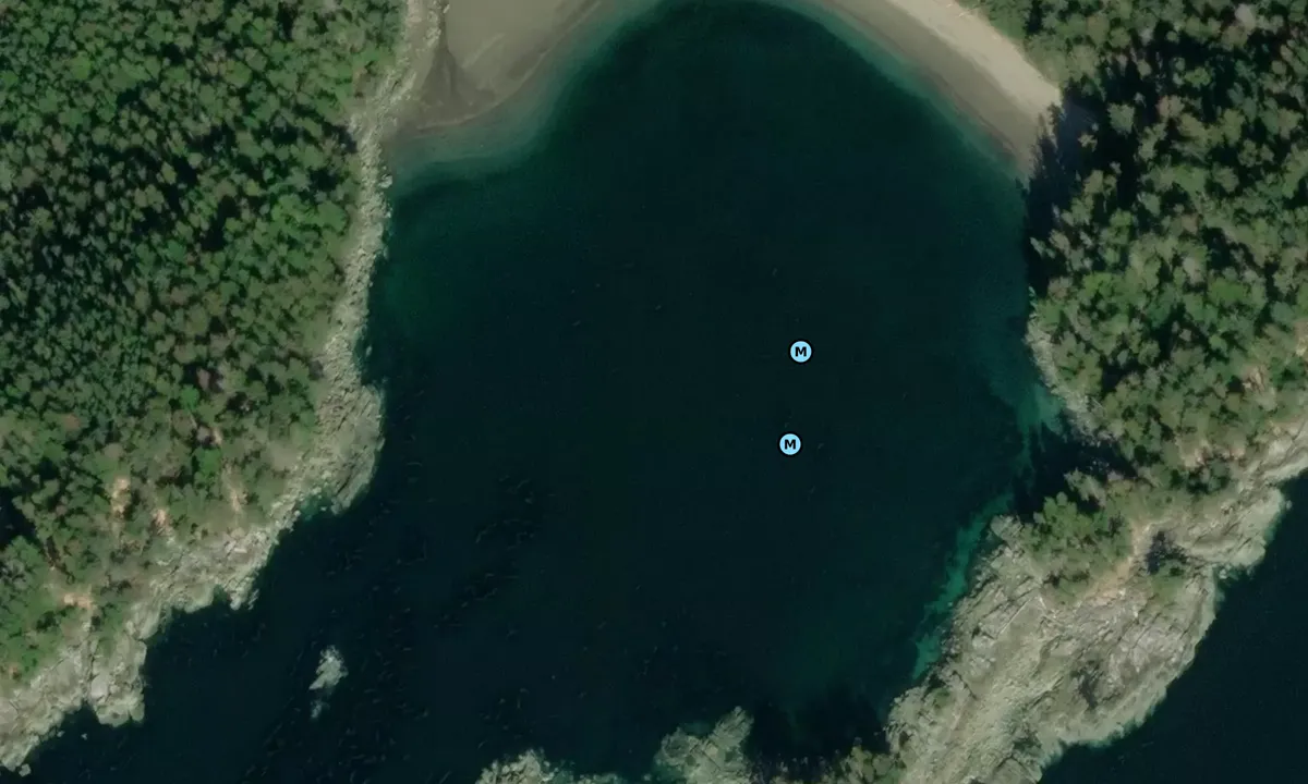 Satelite image of Goleta Cove