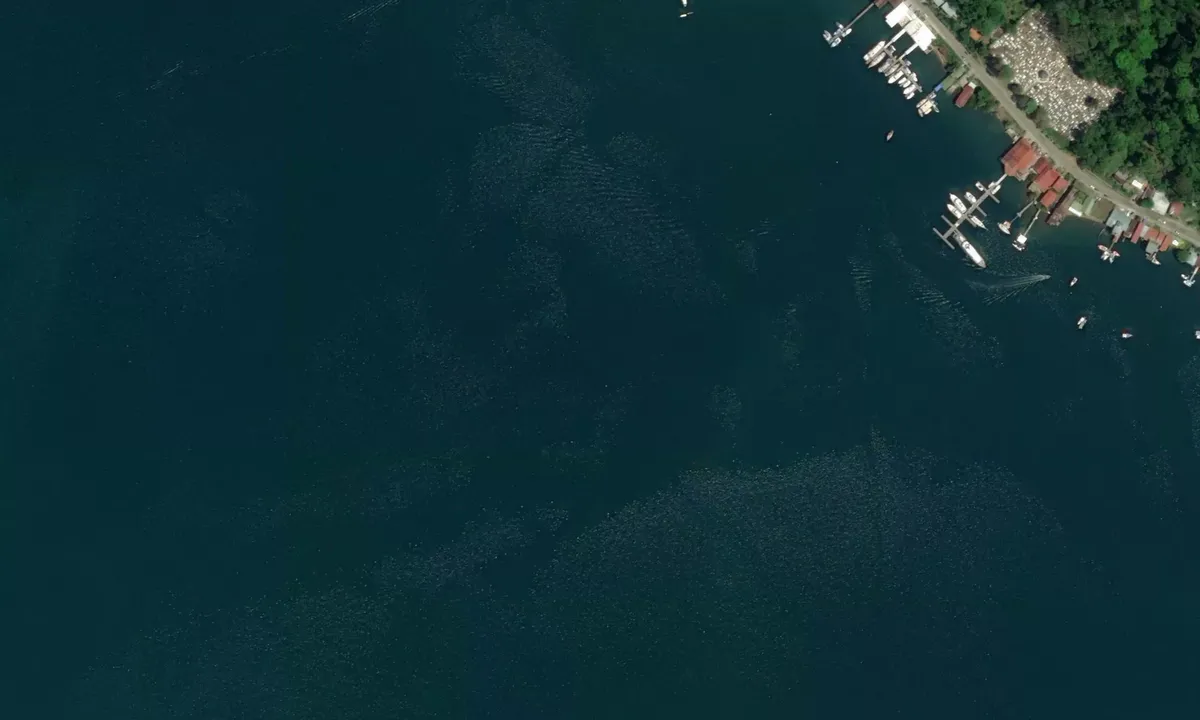 Flyfoto av Golfito Bay