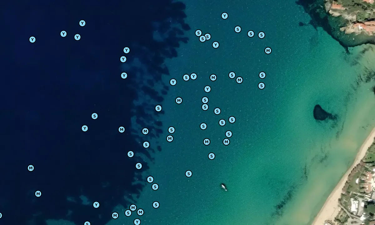 Satelite image of Golfo della Biodola