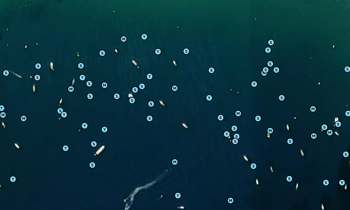 Satelite image of Golfo Della Lacona