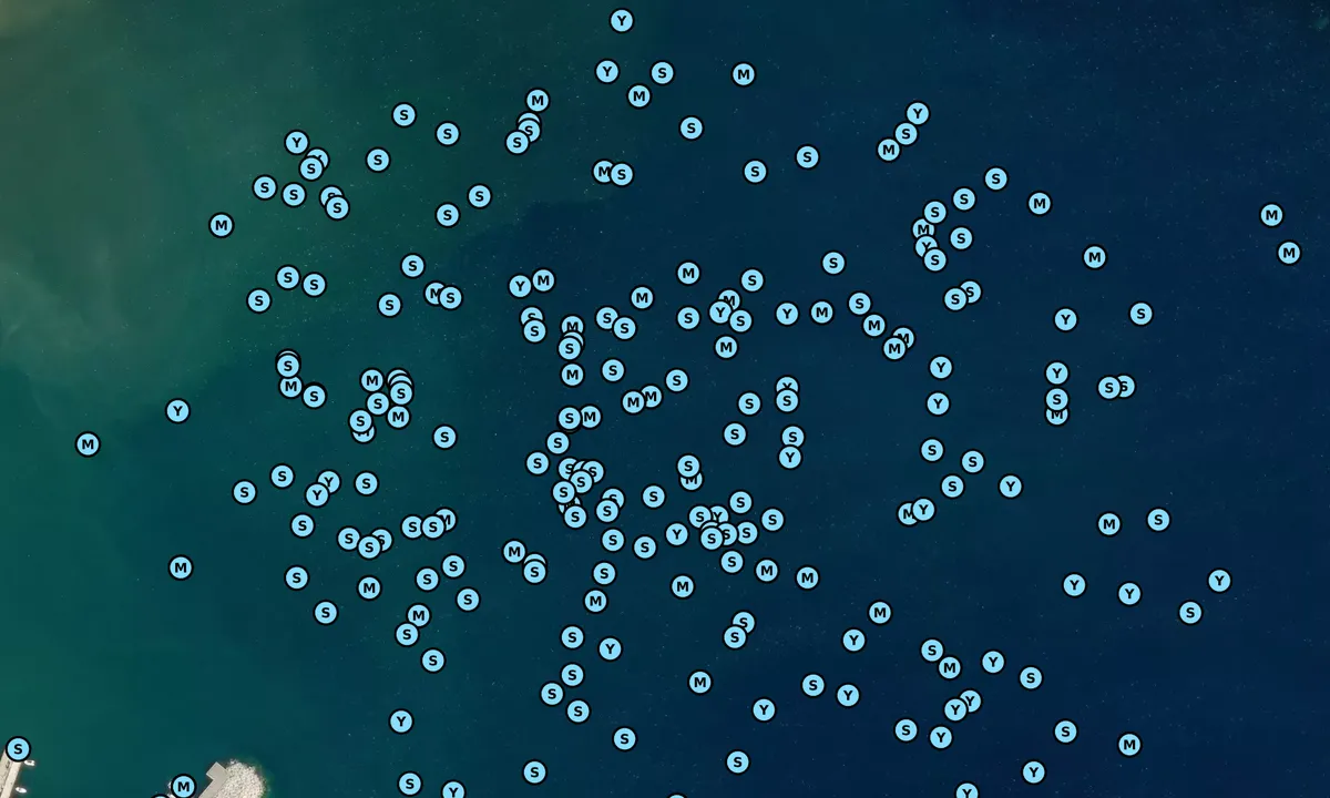 Satelite image of Golfo di Campo