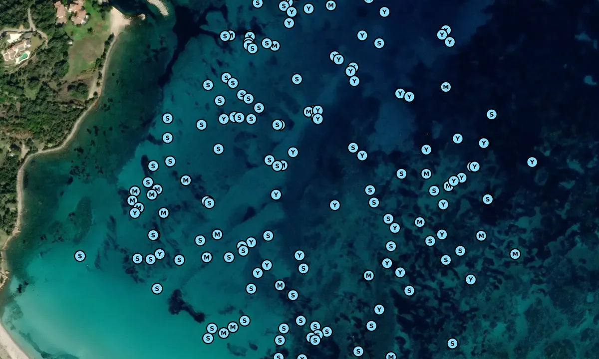 Satelite image of Golfo di Marinella