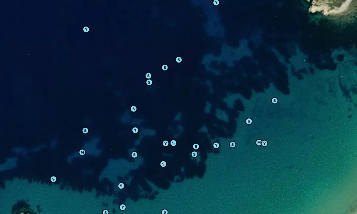 Satelite image of Golfo di Procchio