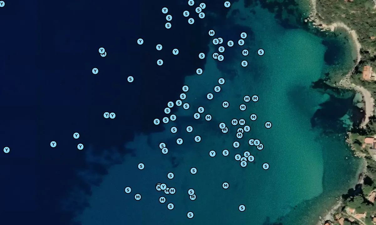 Satelite image of Golfo di Viticcio