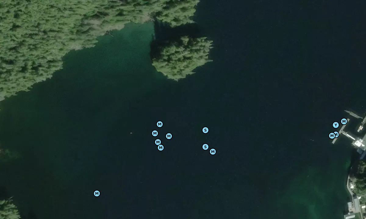 Satelite image of Goose Bay - Central Coast