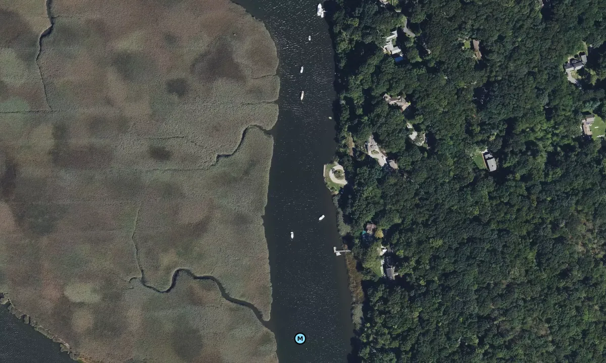 Satelite image of Goose Island 2