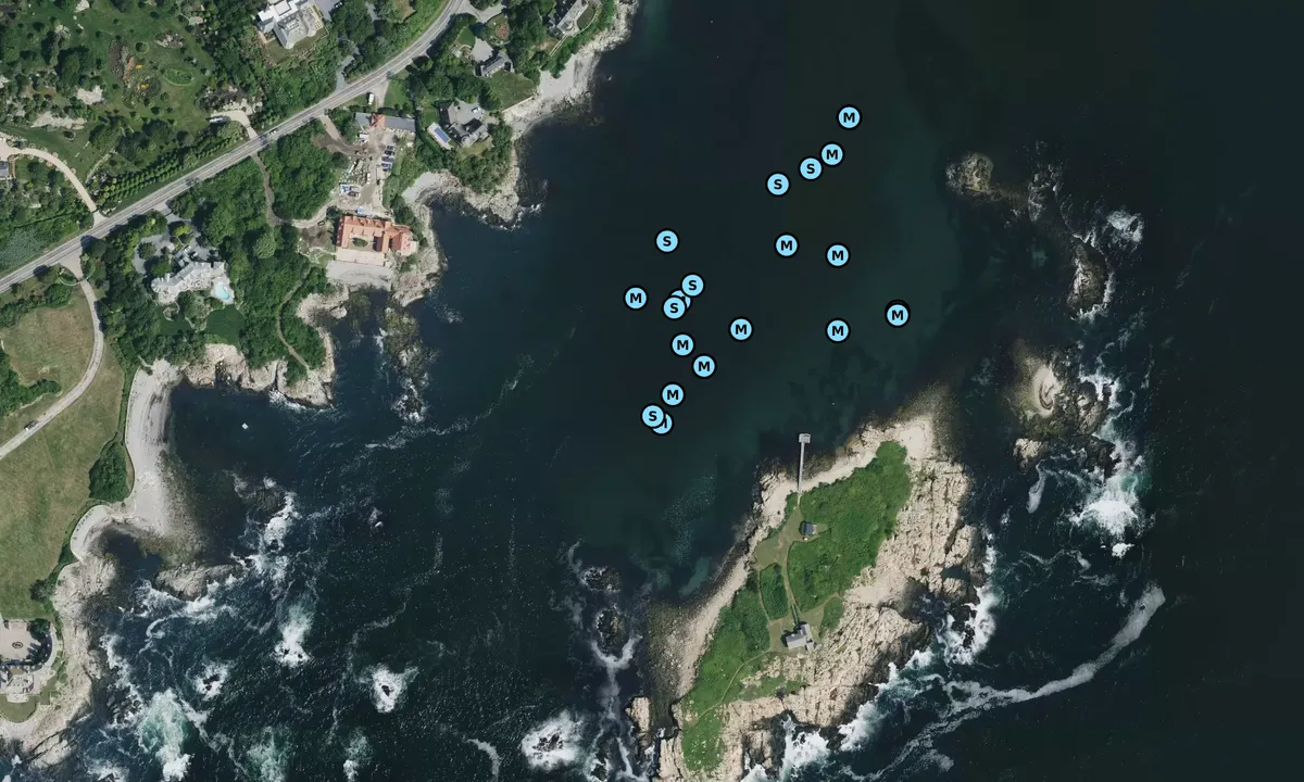 Satelite image of Gooseberry Island
