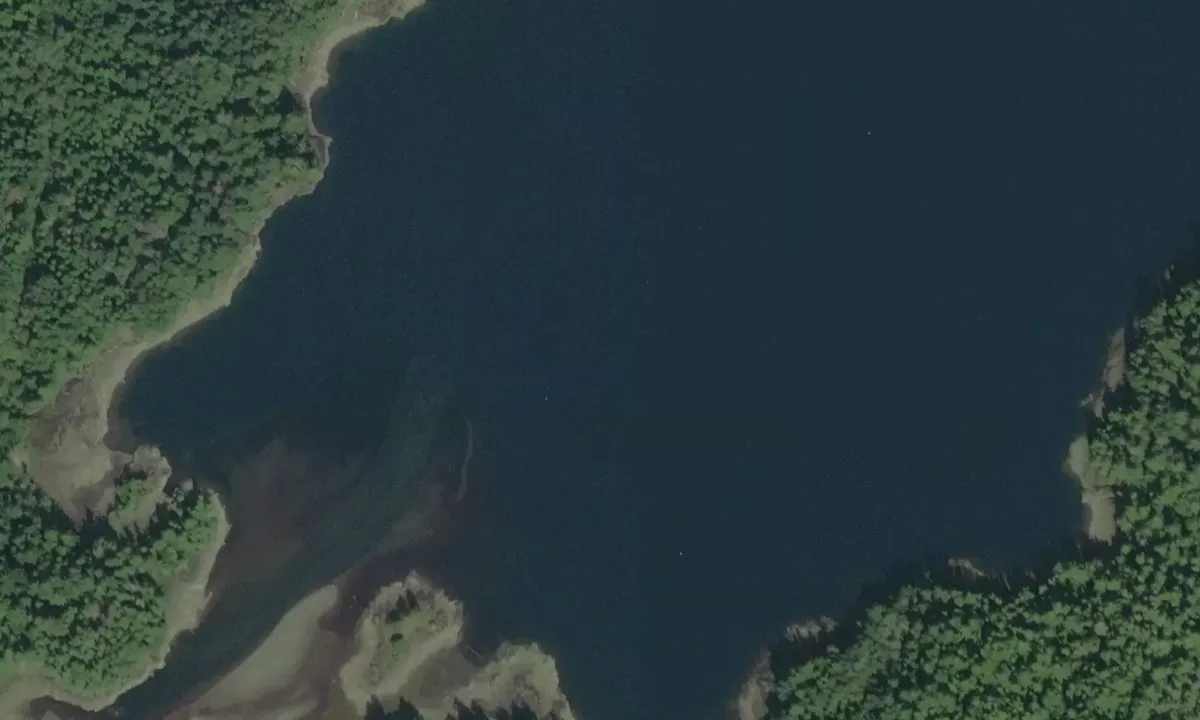 Satelite image of Gordon Cove