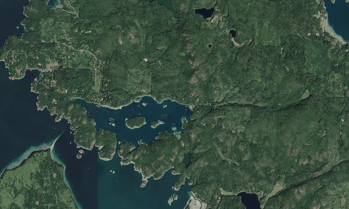 Flyfoto av Gorge Harbour East