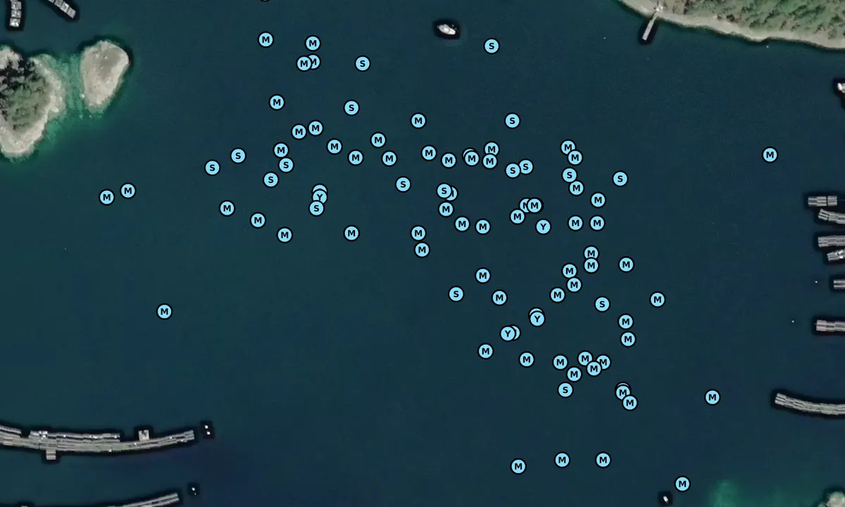 Satelite image of Gorge Harbour East
