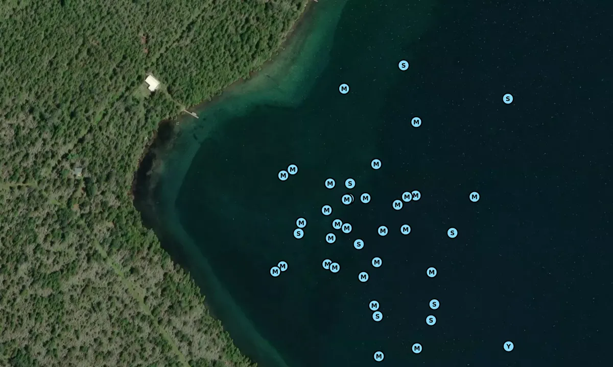 Satelite image of Government Bay North
