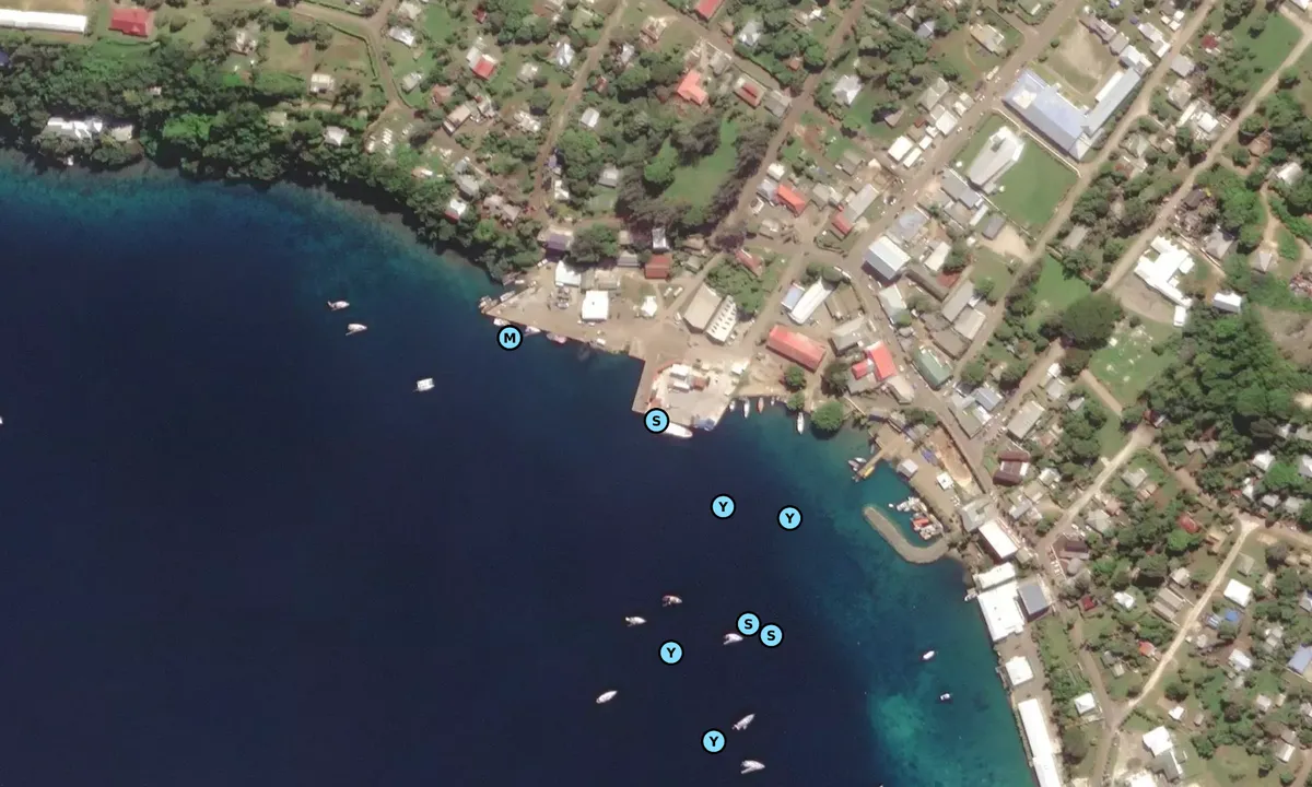 Satelite image of Government Dock