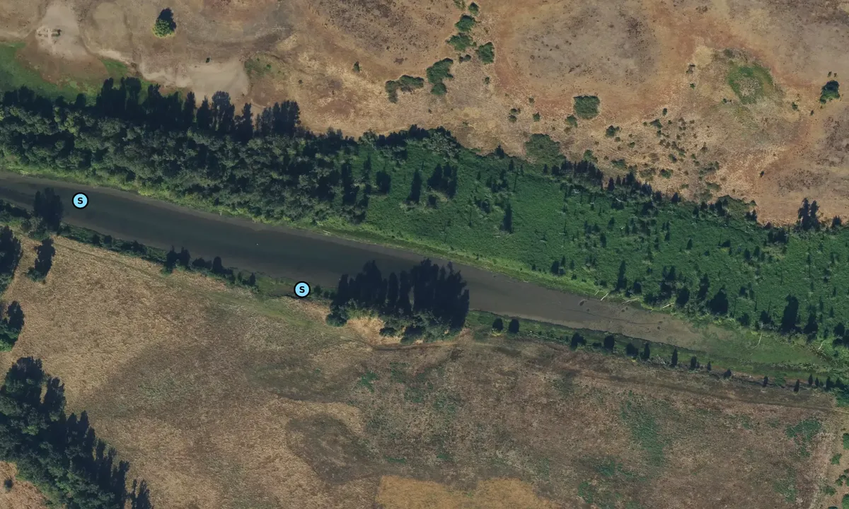 Satelite image of Government Island Slough
