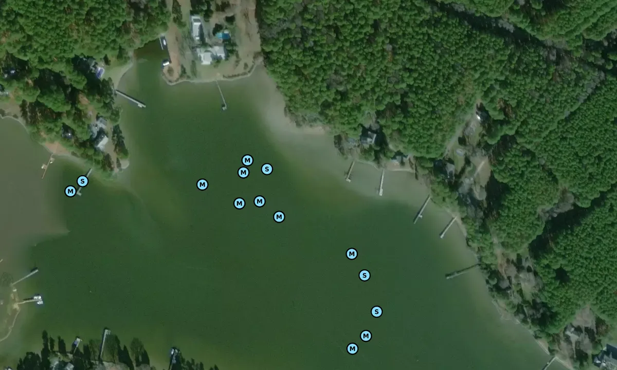 Satelite image of Grace Creek