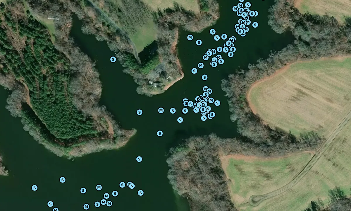 Satelite image of Granary Creek