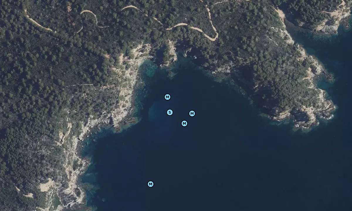 Satelite image of Grand-Cale - Porquerolles