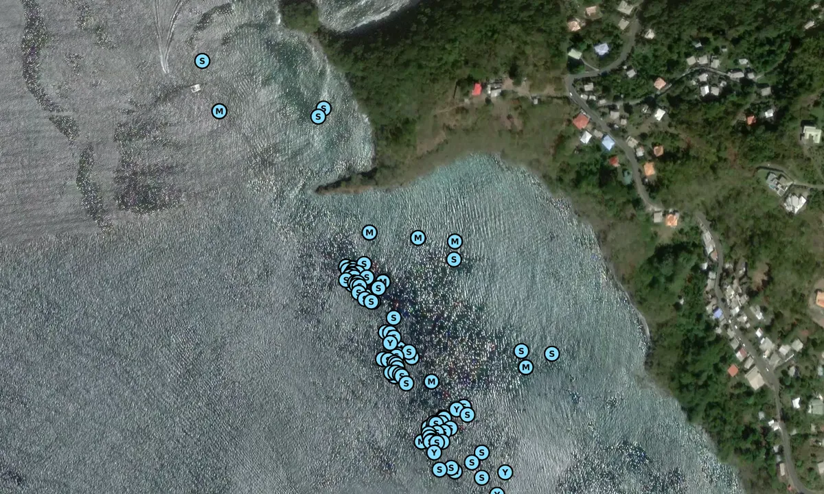 Satelite image of Grand Mal Bay 1