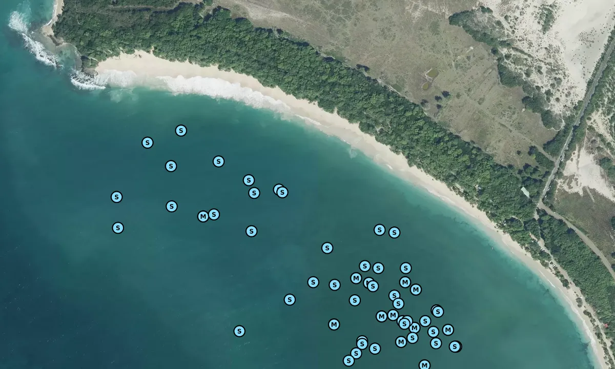 Satelite image of Grande Anse des Salines
