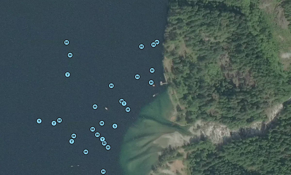 Satelite image of Granite Falls 1