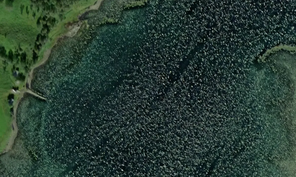 Satelite image of Grasmyrbotn