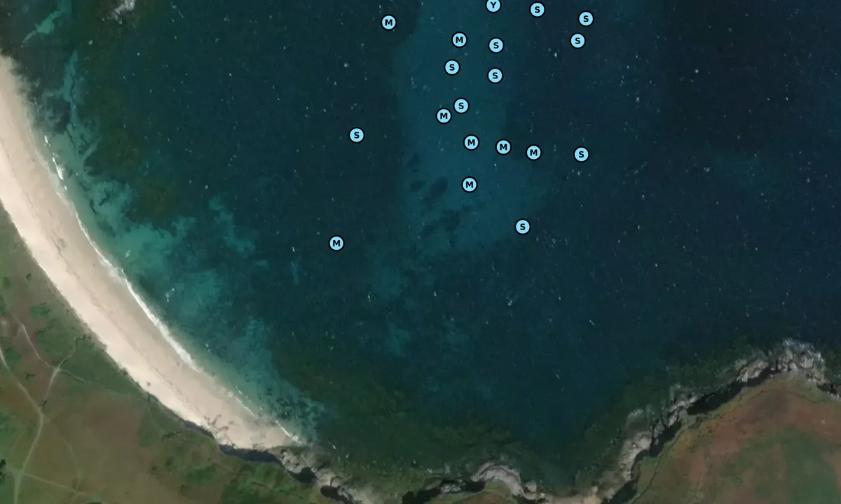 Satelite image of Great Bay