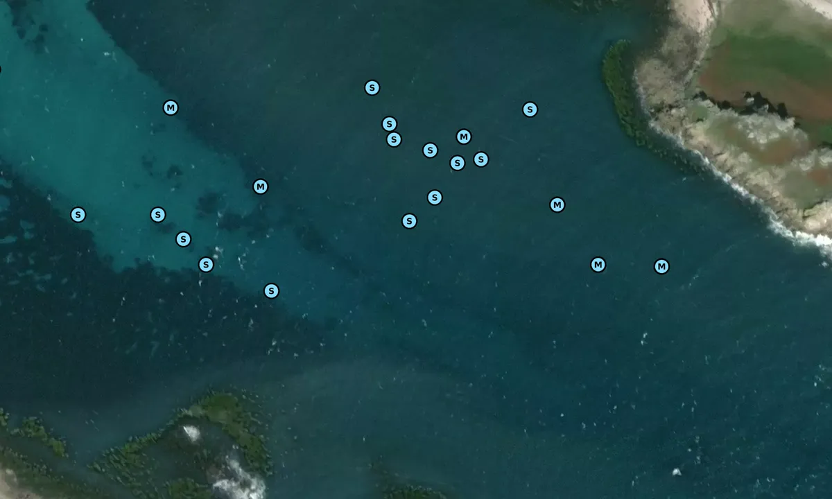 Satelite image of Great Ganily, Scilly Isles