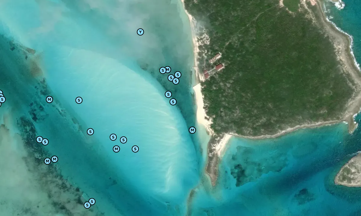 Satelite image of Great Guana Cay West (moorings)