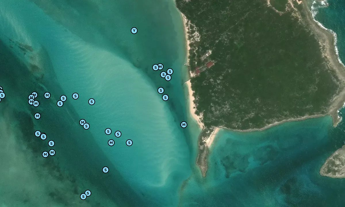 Satelite image of Great Guana Cay West (moorings)