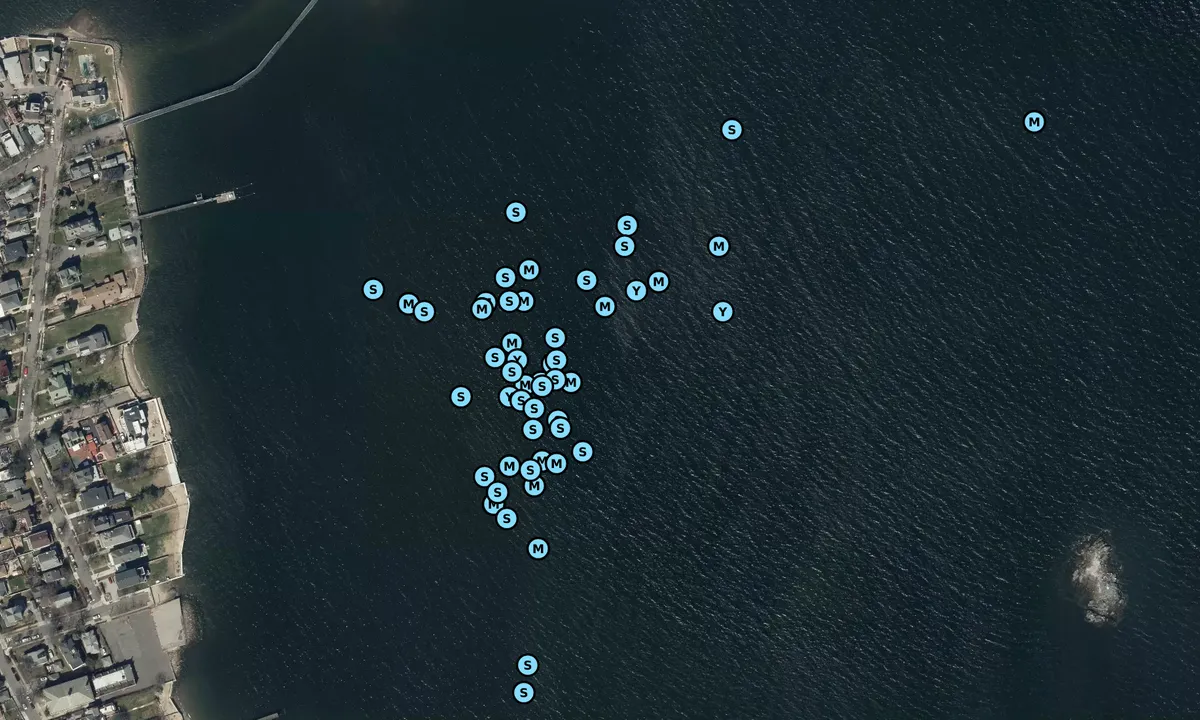 Satelite image of Green Flats