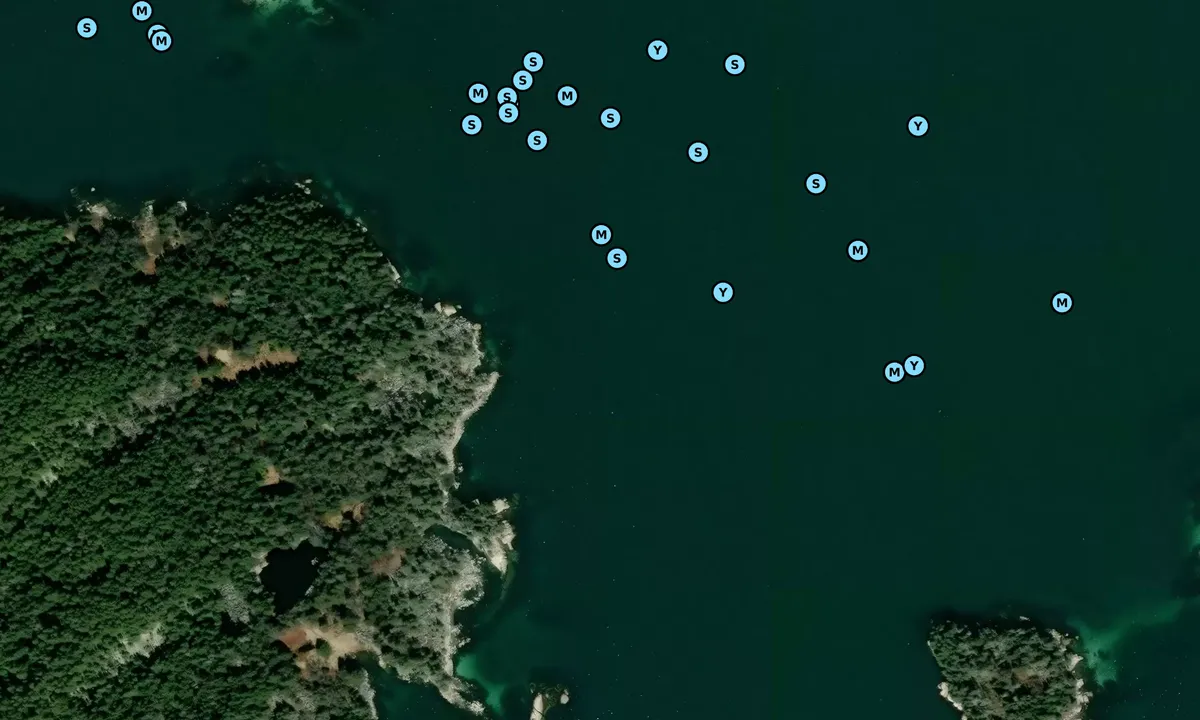 Satelite image of Green Island 2