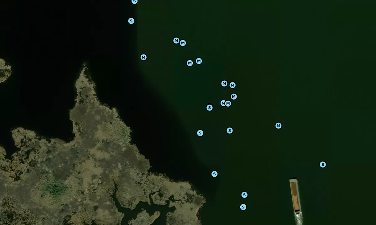 Satelite image of Green Island Creek