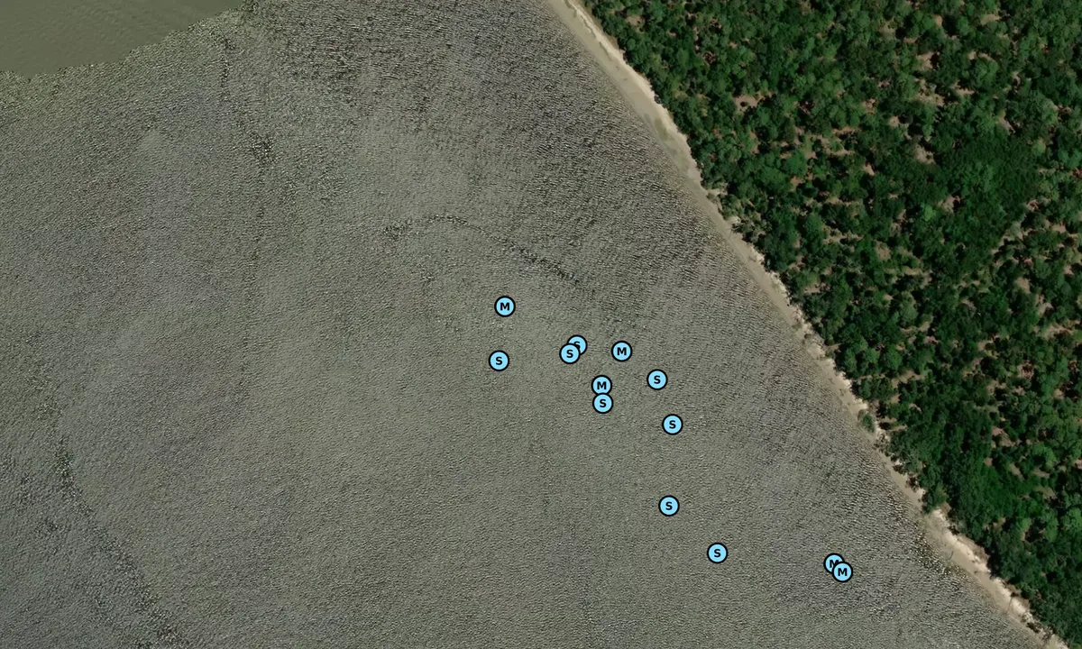 Satelite image of Green Island Sound