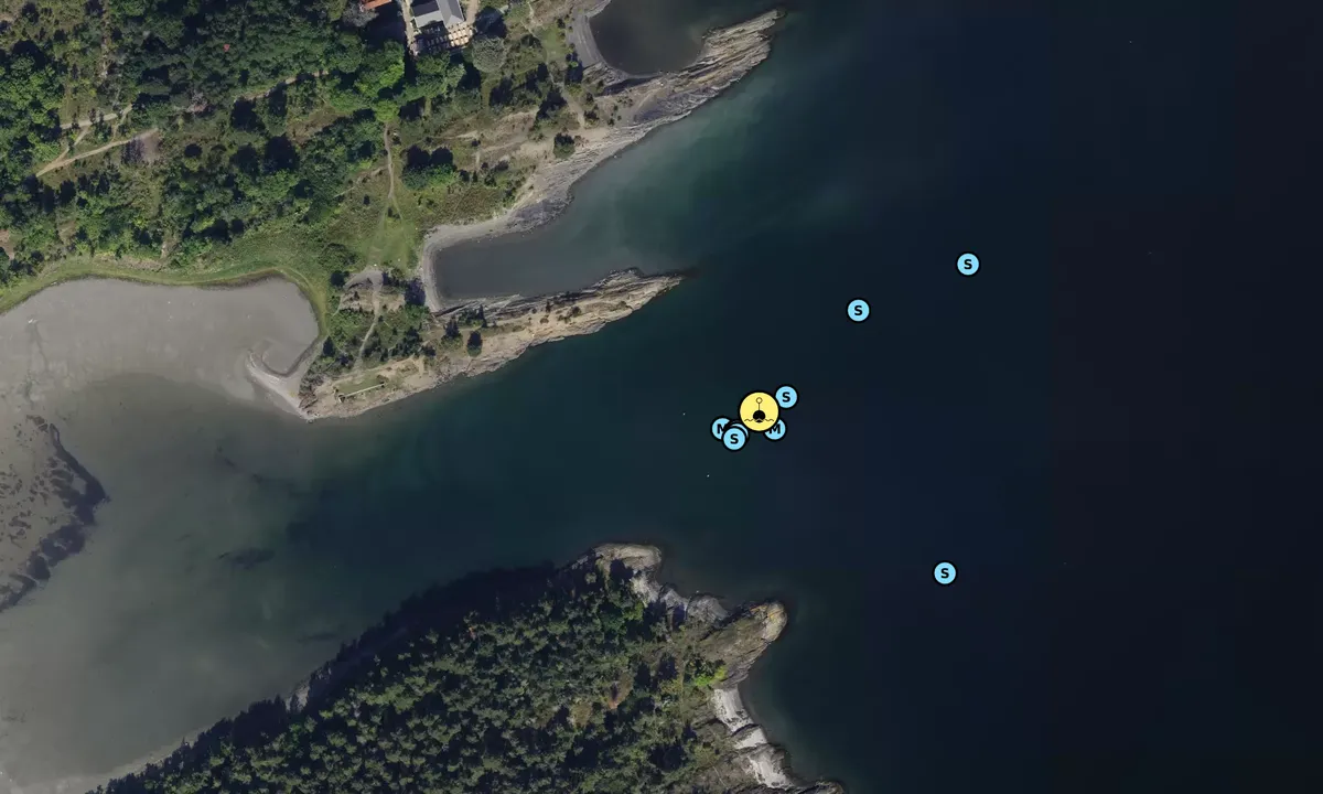 Satelite image of Gressholmen Svaiplass