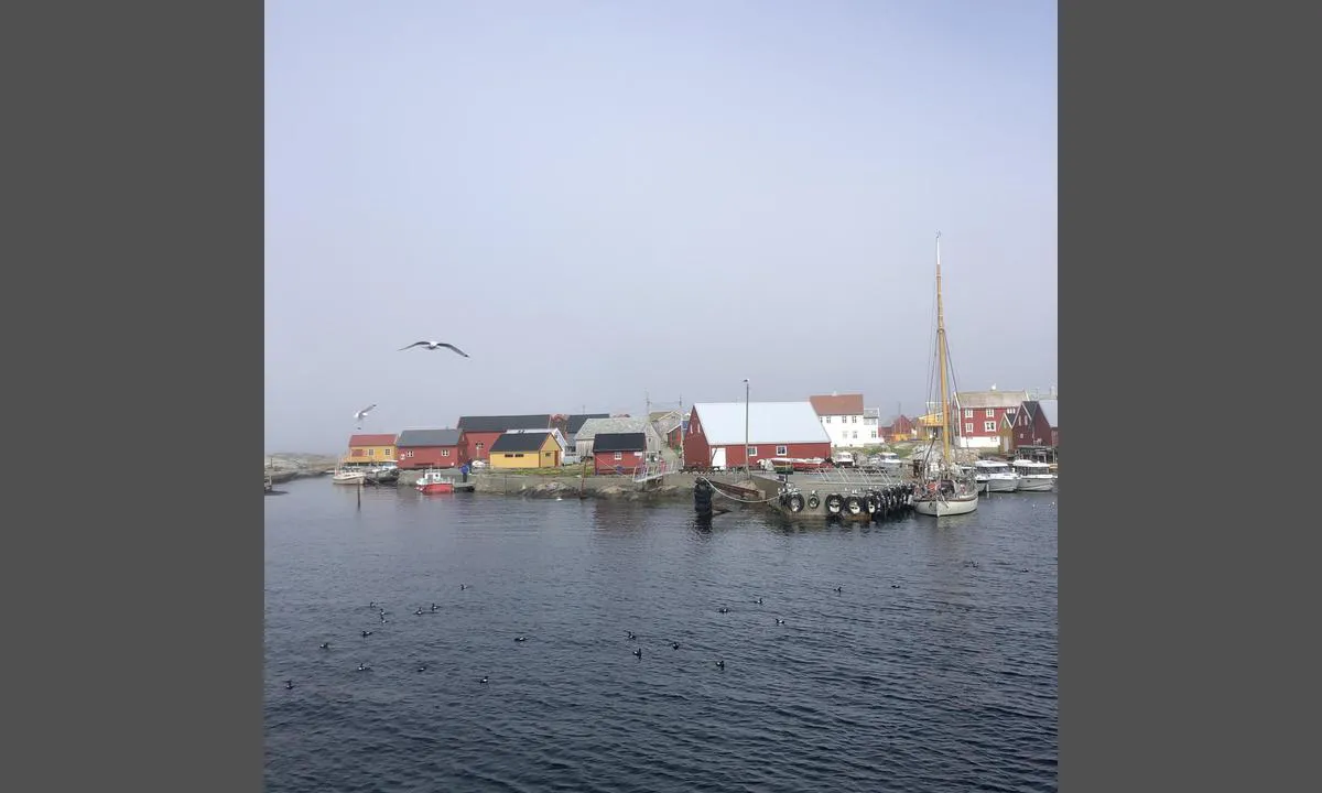 Grip: Det er få plasser til gjestebåter. Her ligger vi på fergekaia før sommerruten åpnet. Øya er en viktig hekkeplass for krykkje og lomvi. Øya var Norges minste kommune fram til 1964.