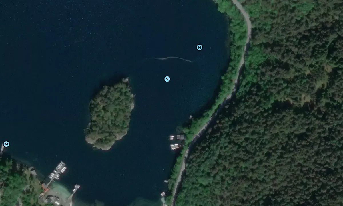 Satelite image of Gripnesvågen