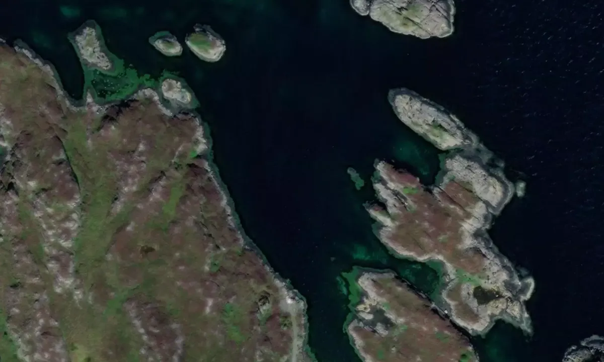 Satelite image of Grisholmen