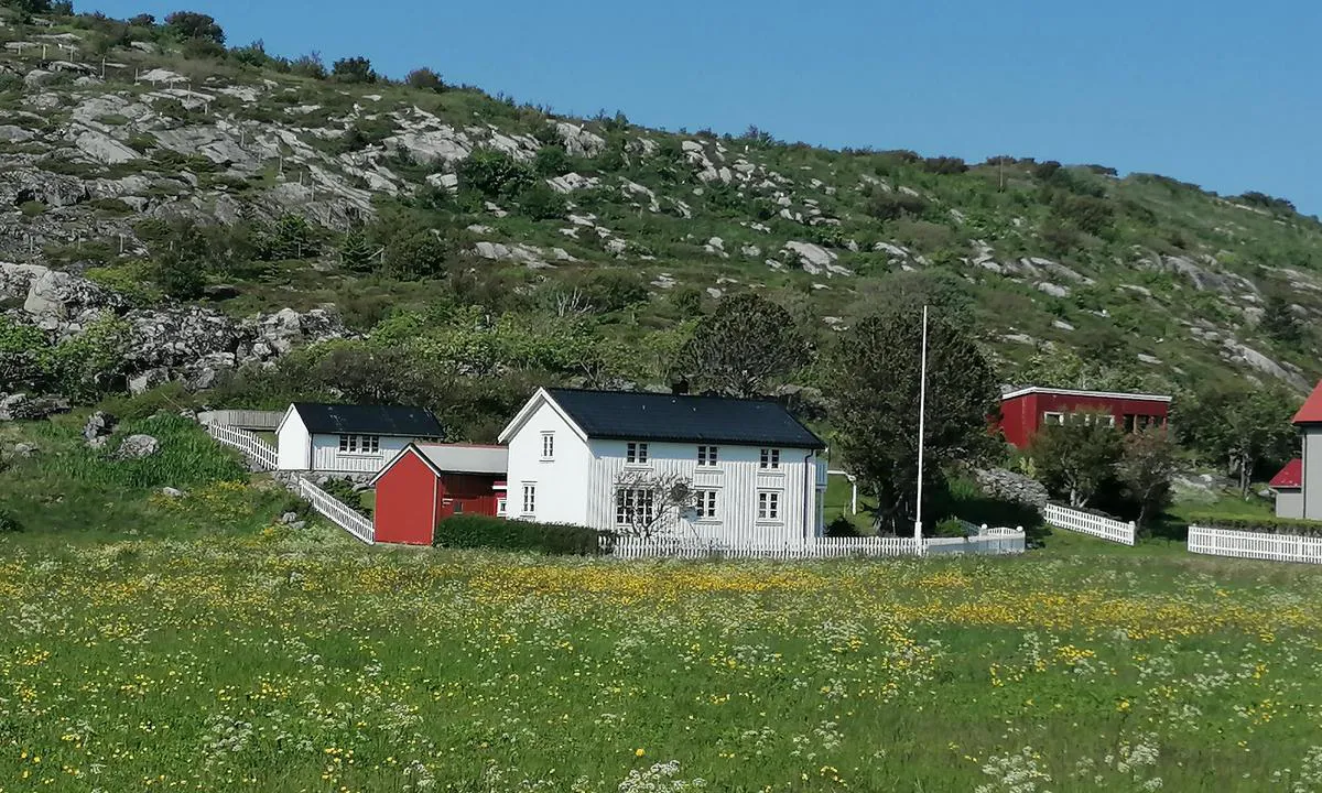 Grisvågen - Indre Skjervøya