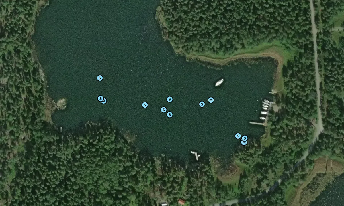 Satelite image of Grönmarsfladen