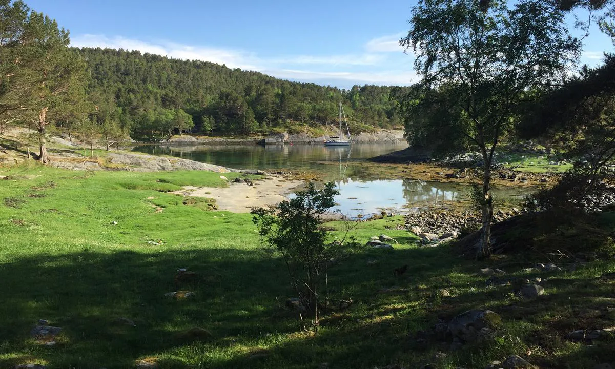 Hvalenbukta: Mange stier å gå rundt på.
Det finnes også gamle bunkerser her på øya.
Om sommeren beiter det sauer her også.