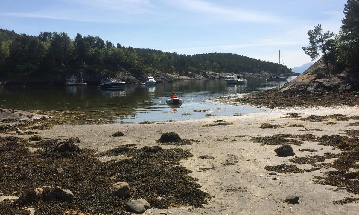 Hvalenbukta: Et yndet sted for barnefamilier.