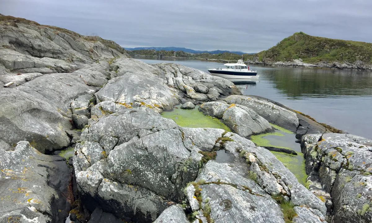 Grønøy Byrknesøy