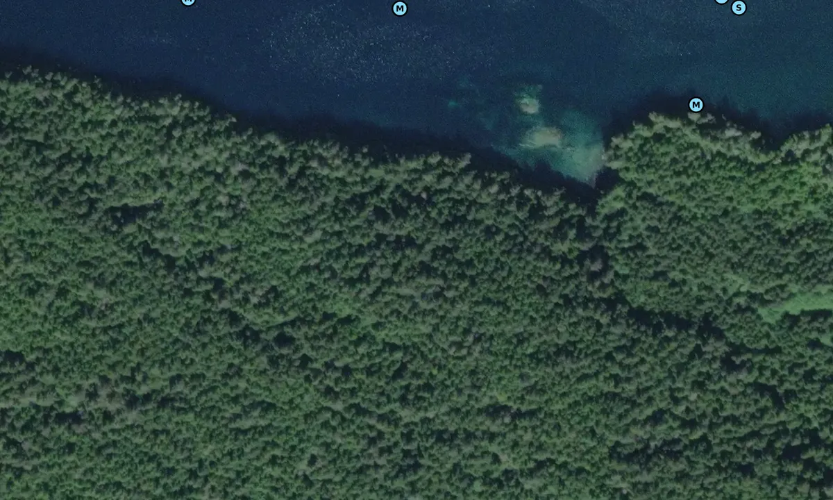 Satelite image of Growler Cove