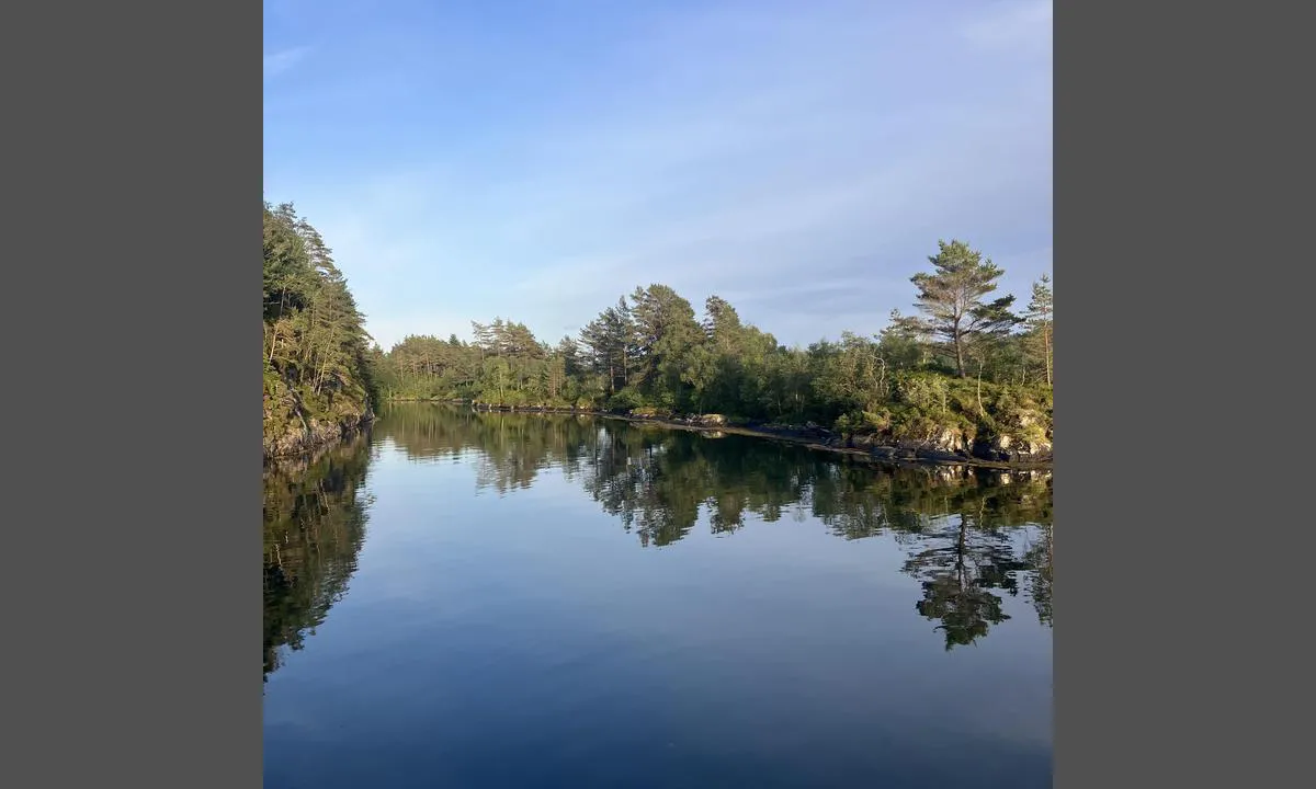 Grunnesundet