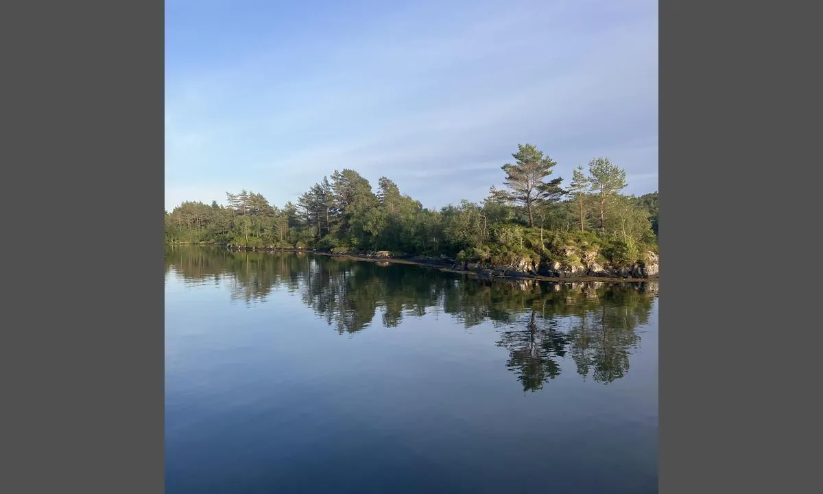Grunnesundet