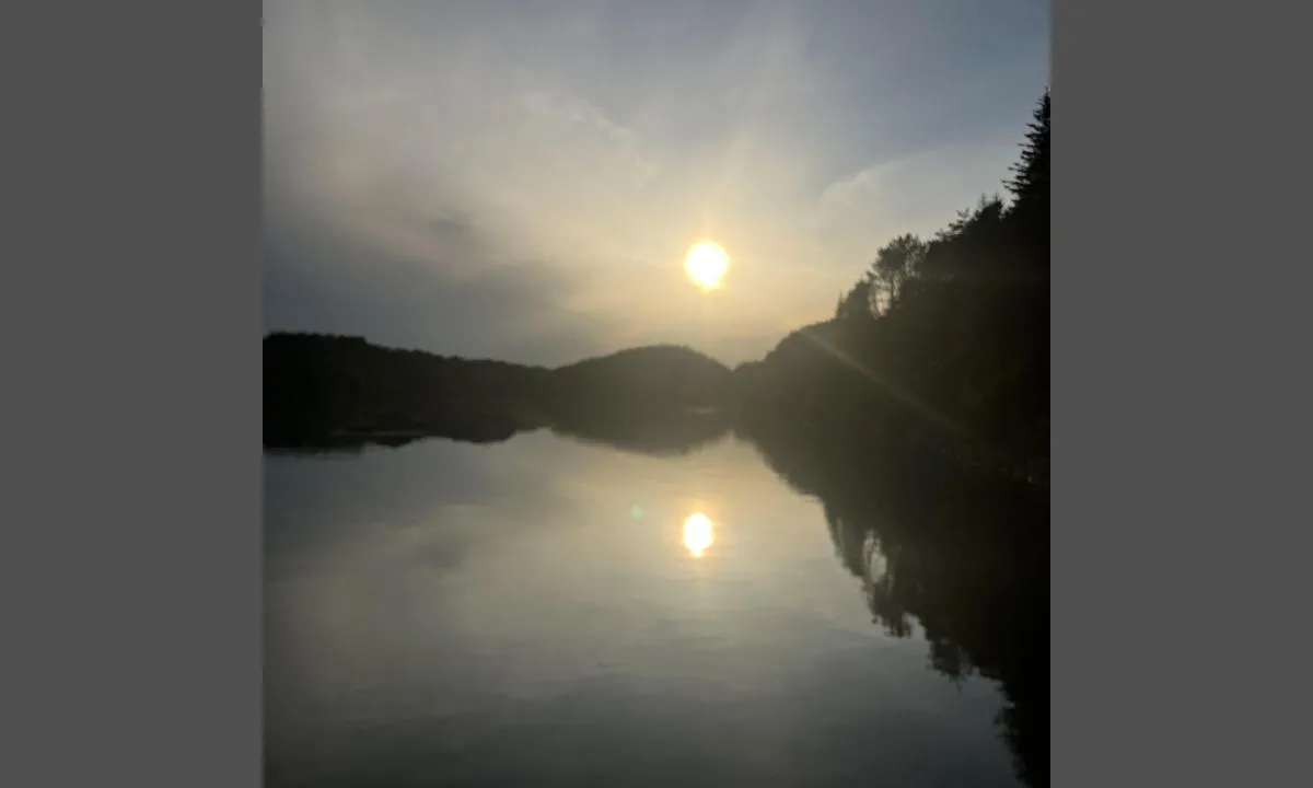 Grunnesundet