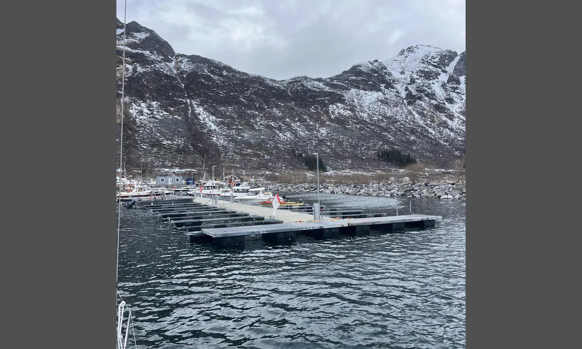 Grunnfarnes